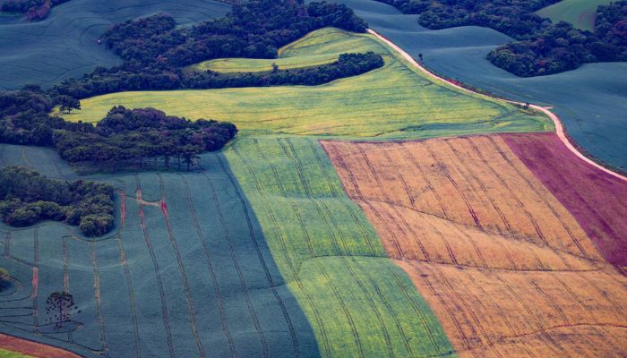 Foto: Jonathan Campos/AEN  TRF4 mantém vitória do Paraná sobre legislação ambiental e dá segurança aos agricultores